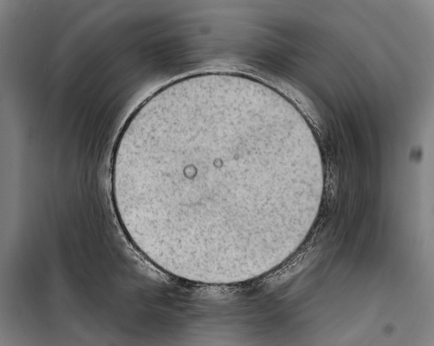 X0000099510950200806121436