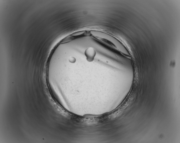 X0000099510952200806121436