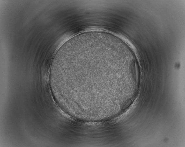 X0000099510953200806121436