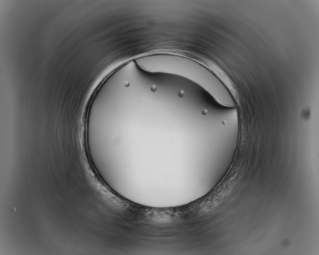 X0000099510955200806121436