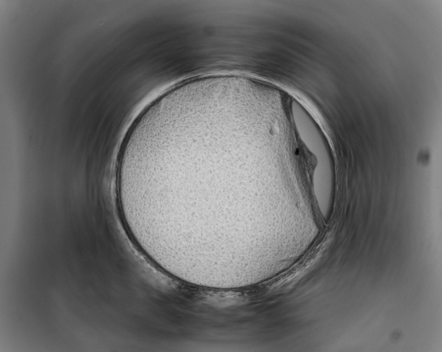 X0000099510957200806121436