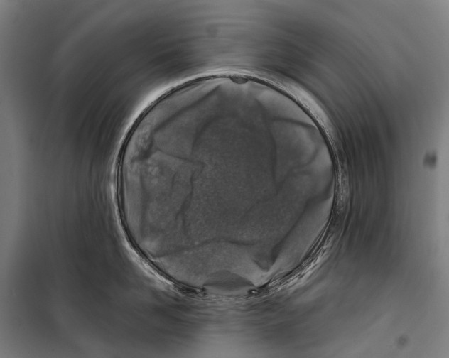 X0000099510958200806121436