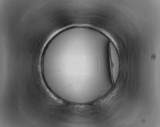 X0000099510959200806121436