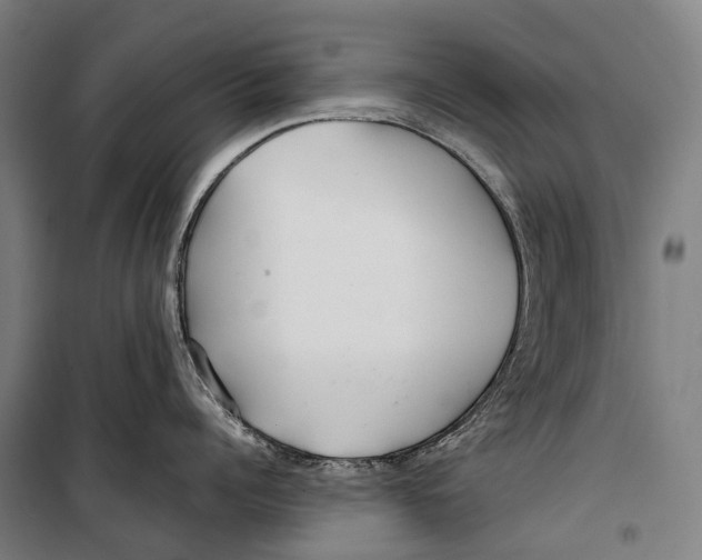 X0000099510960200806121436