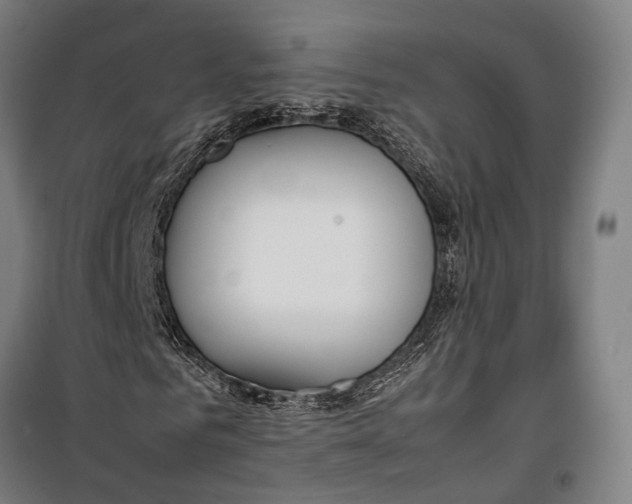X0000099510961200806121435