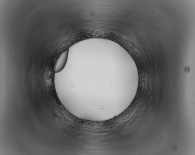X0000099510962200806121435