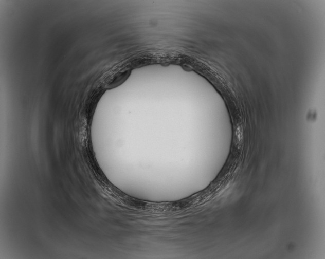 X0000099510963200806121435