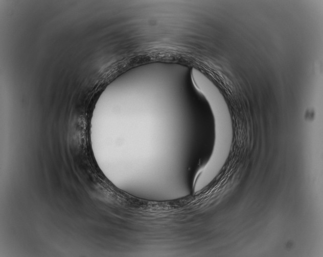 X0000099510964200806121435