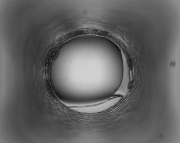 X0000099510965200806121435