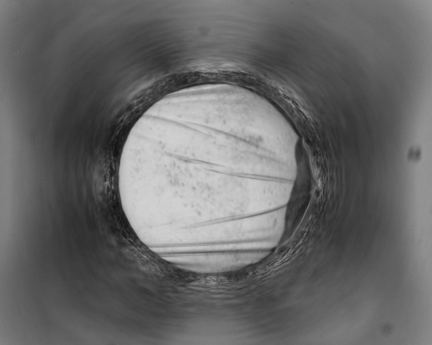 X0000099510966200806121435