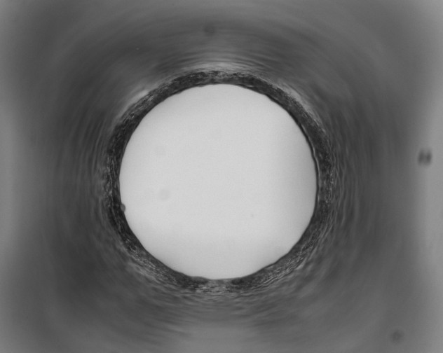 X0000099510967200806121435