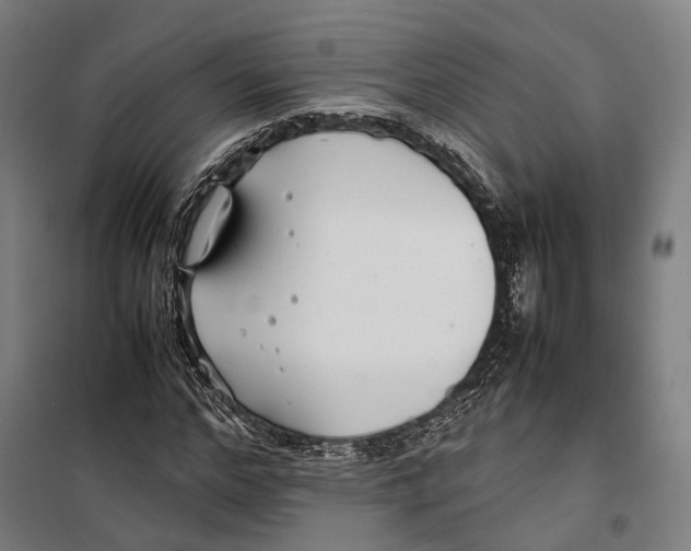 X0000099510968200806121435