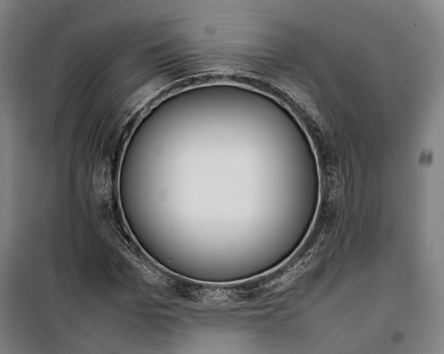 X0000099510969200806121435