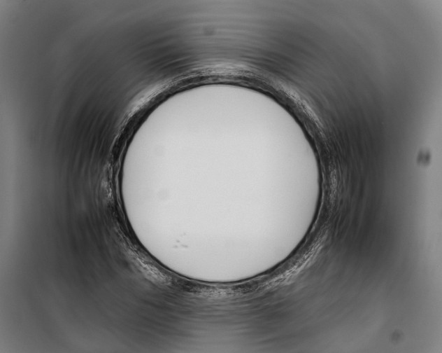 X0000099510970200806121435