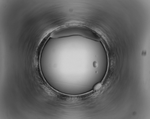 X0000099510973200806121435