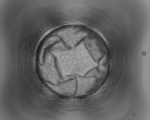 X0000099510975200806121435