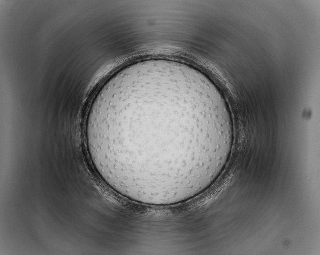 X0000099510978200806121435