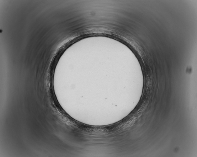 X0000099510979200806121435