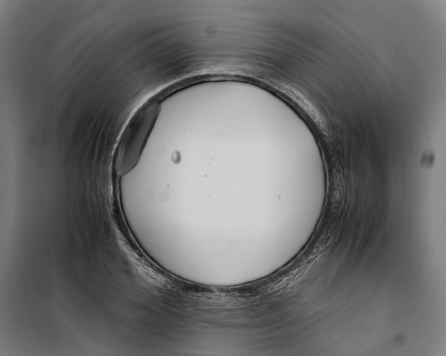 X0000099510980200806121435