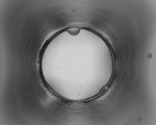 X0000099510981200806121435
