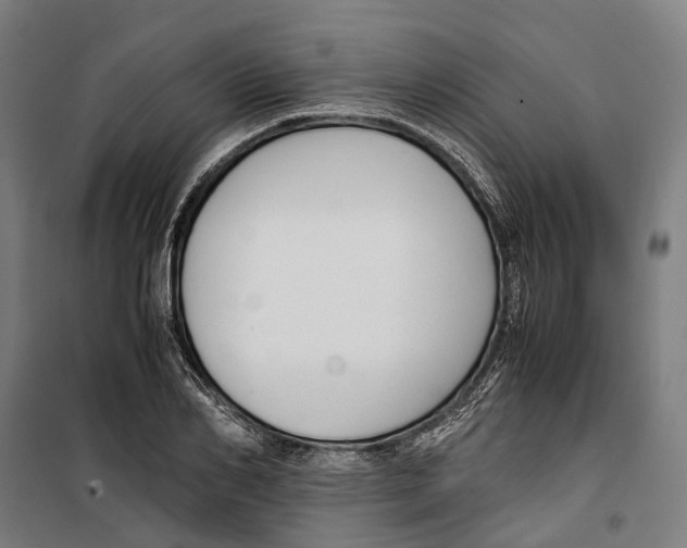 X0000099510982200806121435