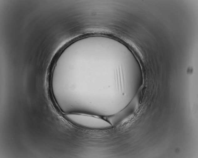 X0000099510983200806121435