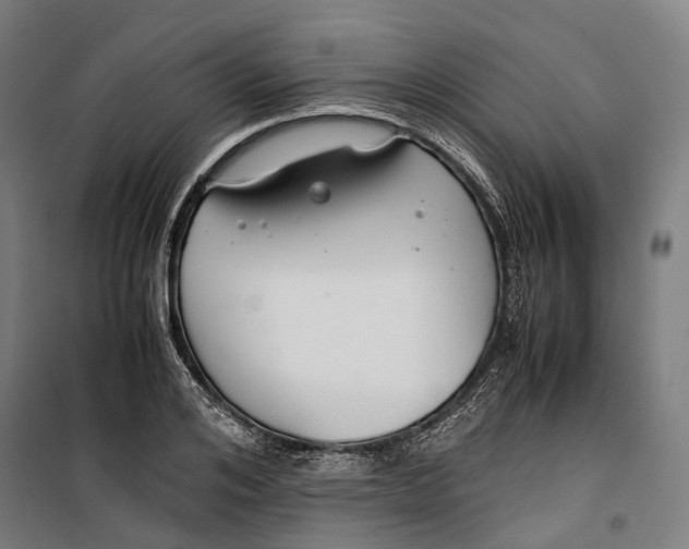 X0000099510984200806121435