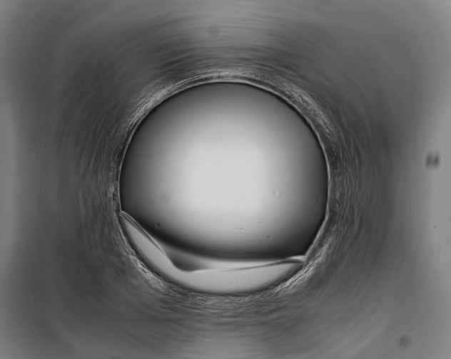 X0000099510985200806121435