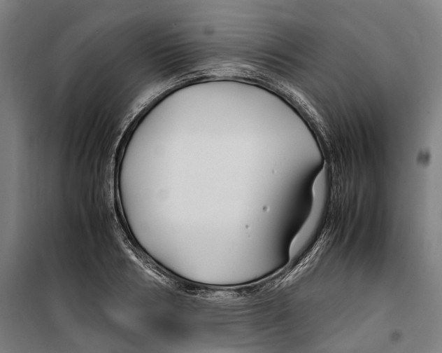 X0000099510986200806121435