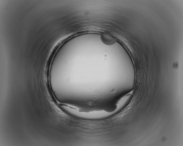 X0000099510987200806121435