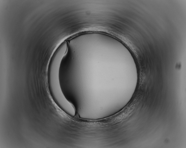 X0000099510988200806121435