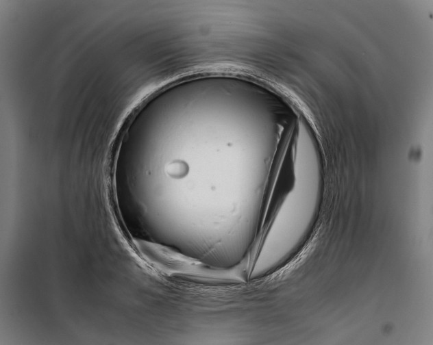X0000099510989200806121435