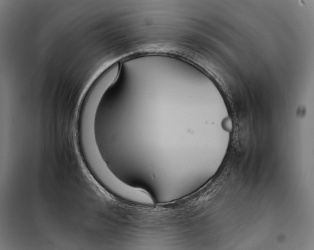 X0000099510992200806121435