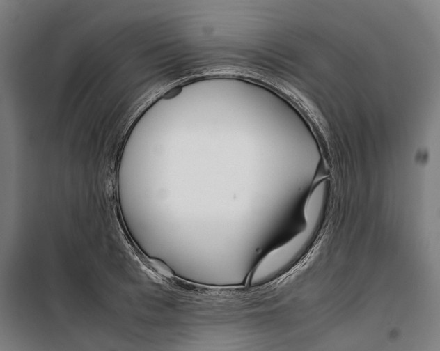 X0000099510993200806121435