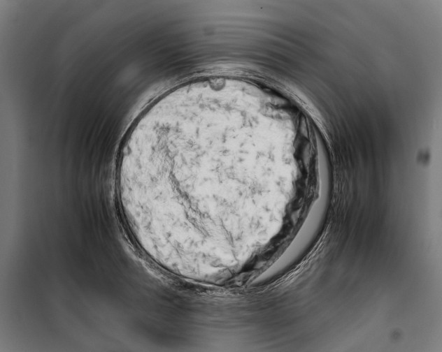 X0000099510994200806121435