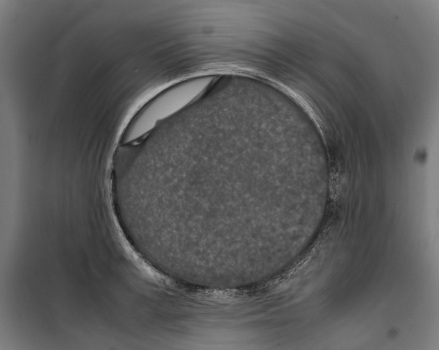X0000099510995200806121435
