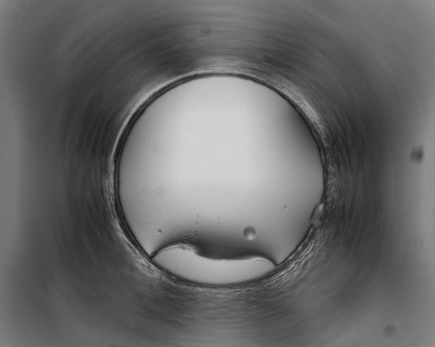 X0000099510996200806121435
