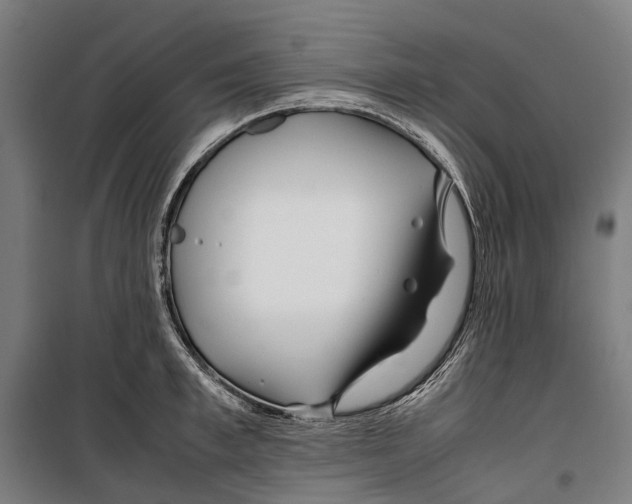 X0000099510997200806121435