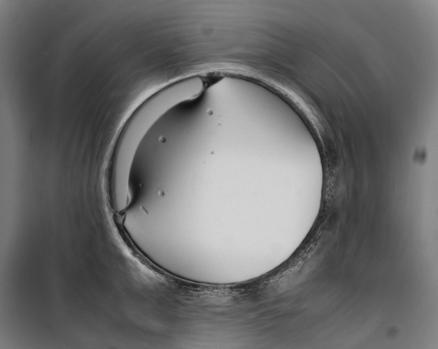 X0000099510999200806121435