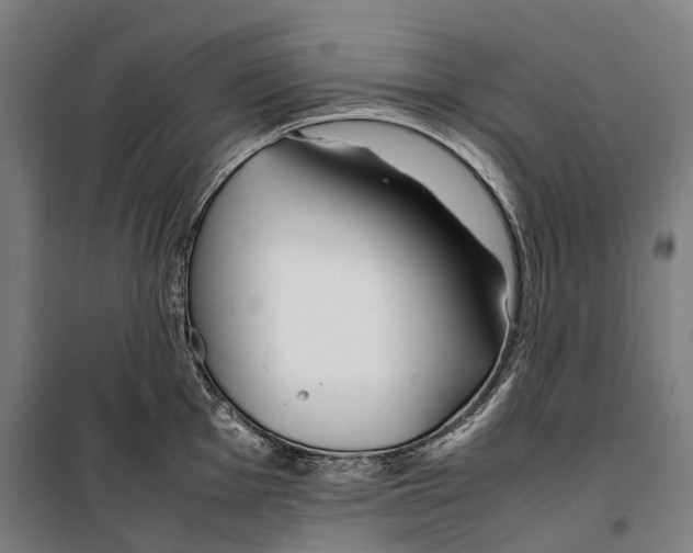 X0000099511001200806121434