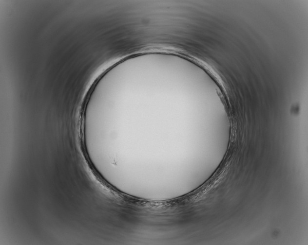 X0000099511003200806121434