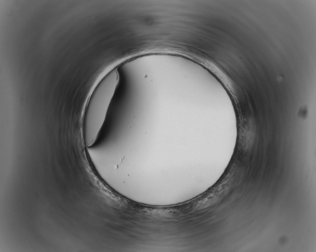 X0000099511004200806121434