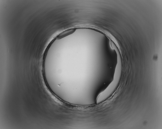 X0000099511005200806121434