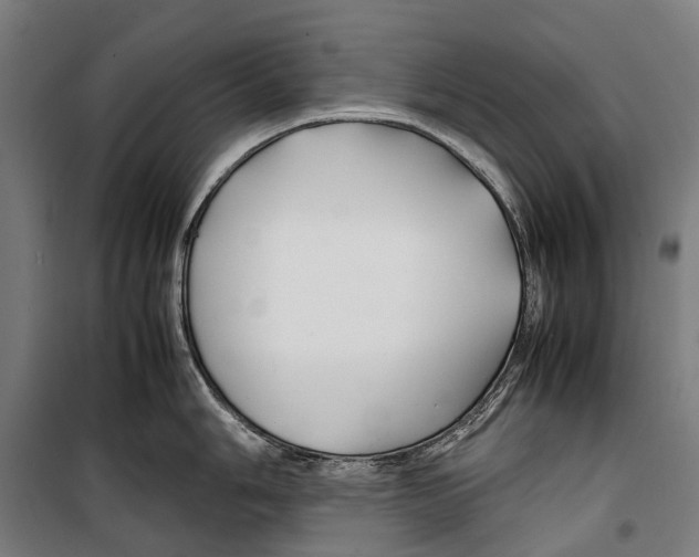 X0000099511006200806121434