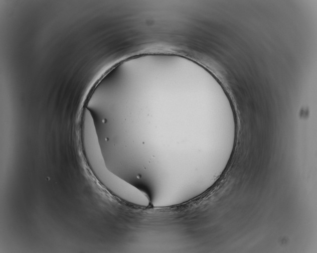 X0000099511008200806121434