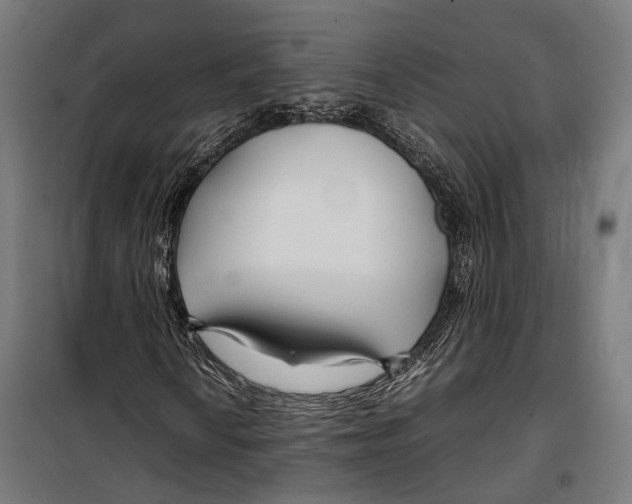 X0000099511010200806121434