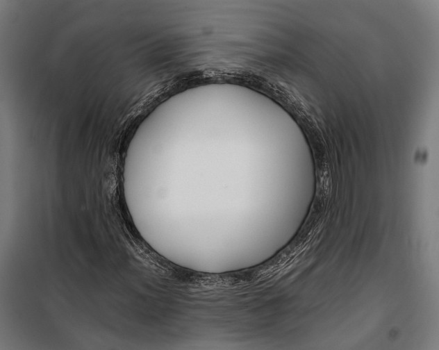 X0000099511012200806121434