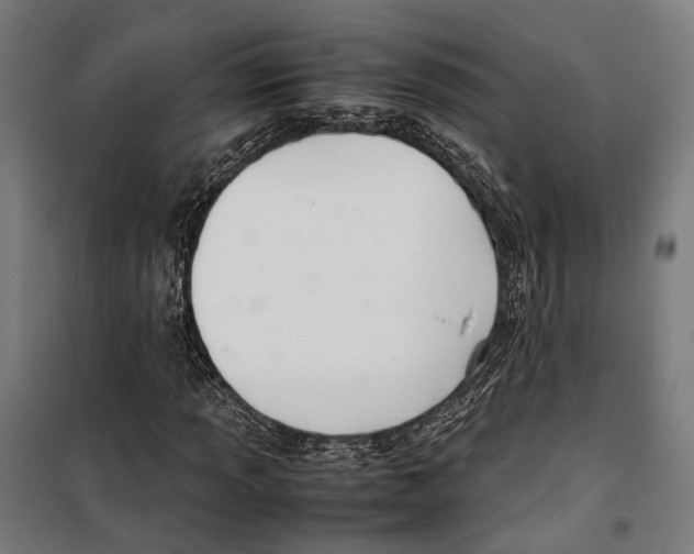 X0000099511013200806121434