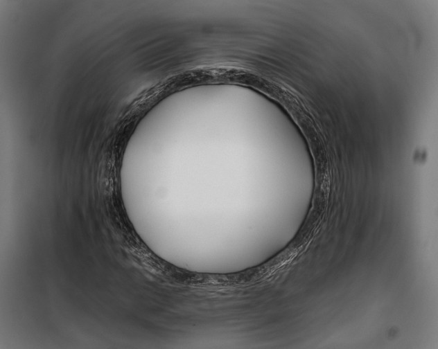 X0000099511014200806121434