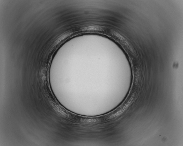 X0000099511017200806121434